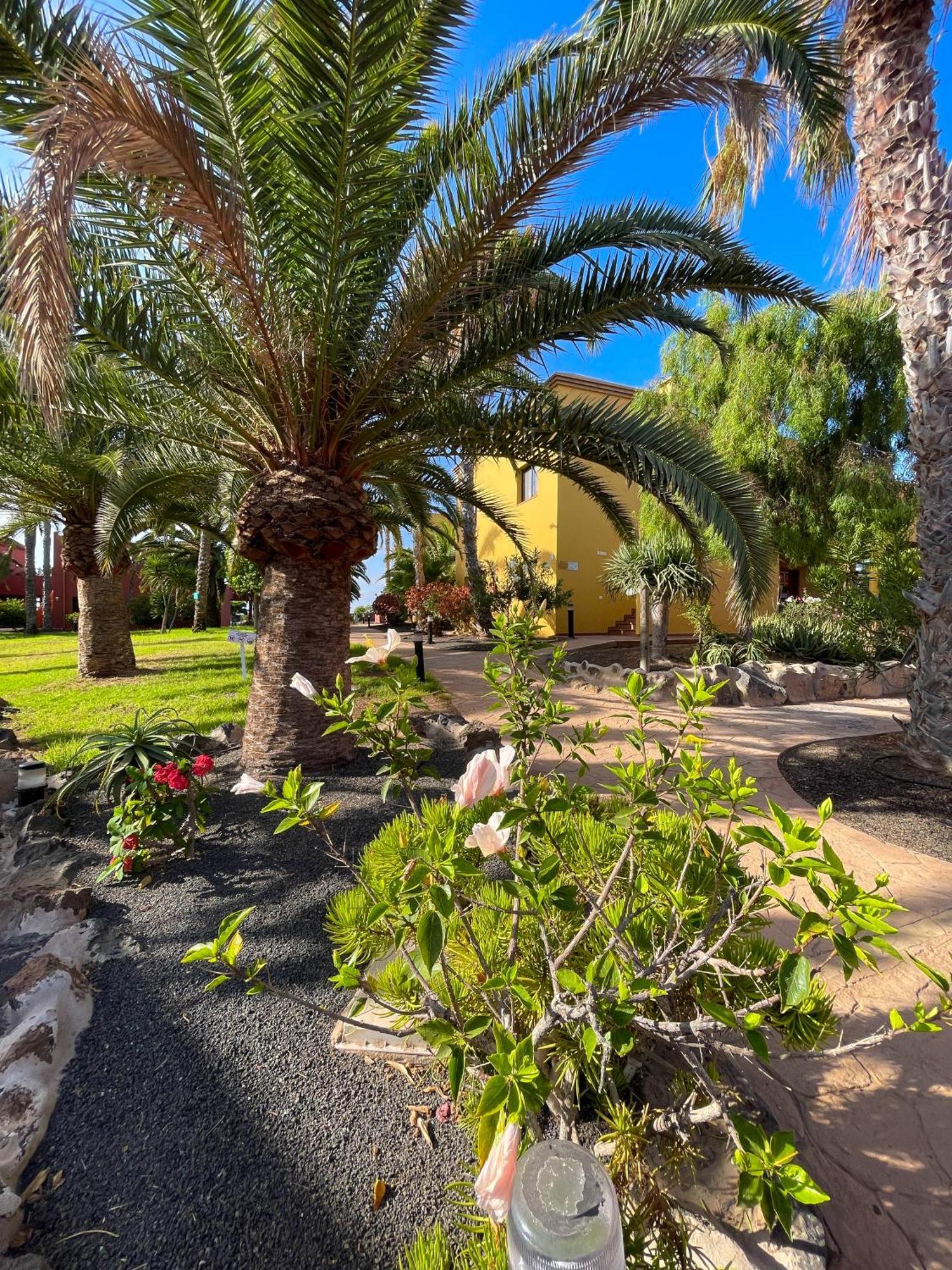 Karol Home By Best Holidays Fuerteventura Corralejo Dış mekan fotoğraf